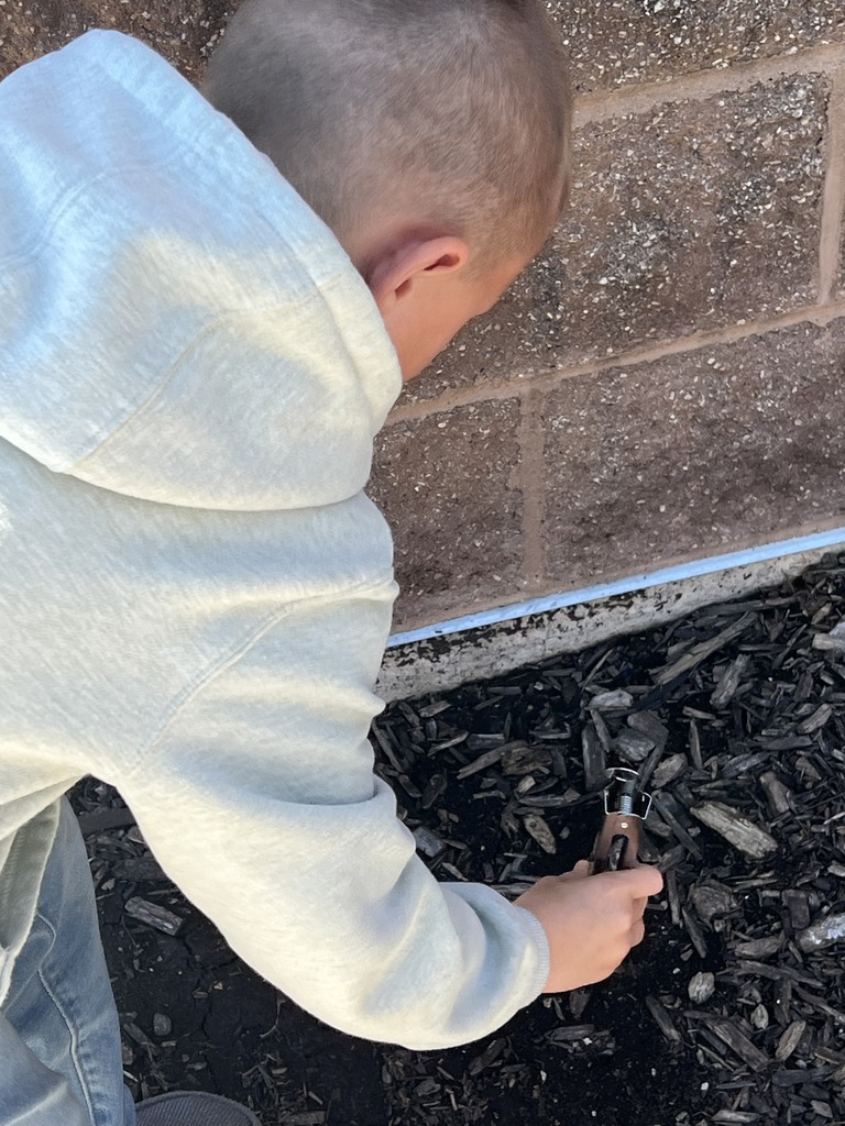 Student picking up trash