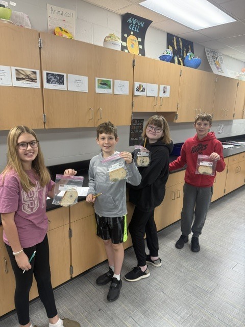 6th grade science microbial lab