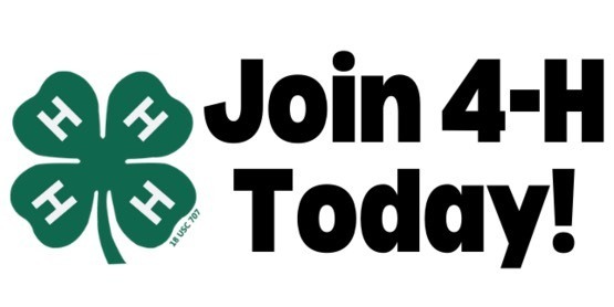 4H
