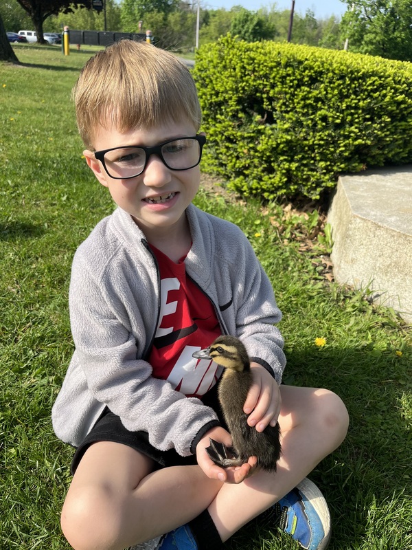 A child holds a duckling while sitting in the grass