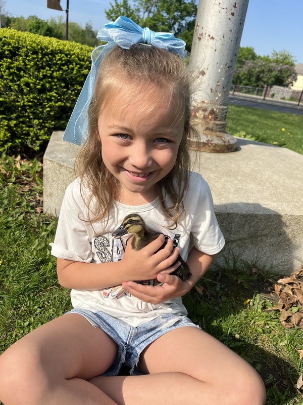 A child holds a duckling while sitting in the grass