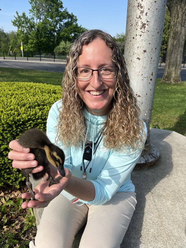An adult sits in the grass holding a small duckling during an outdoor activity