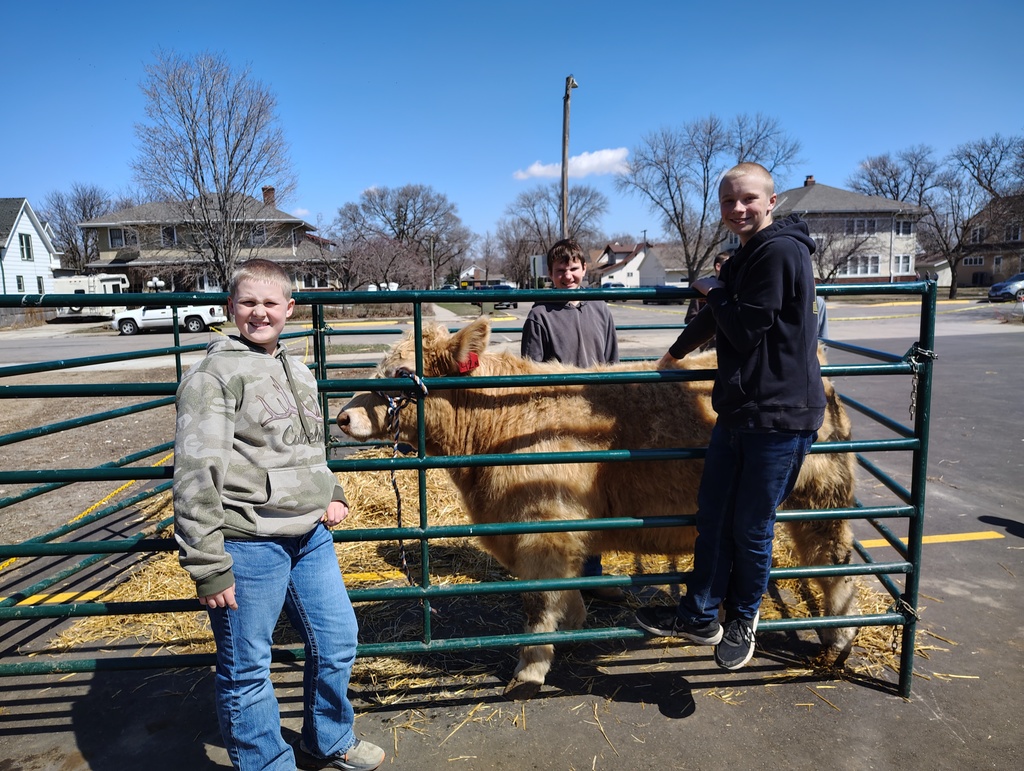 FFA Petting Zoo