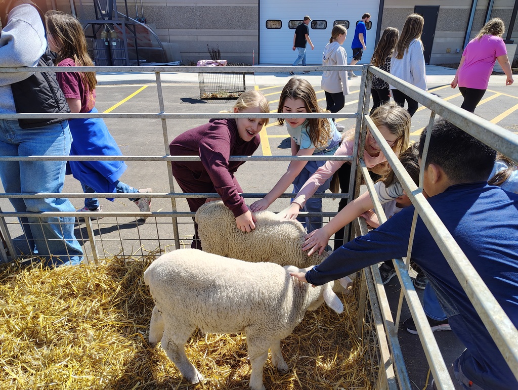 FFA Petting Zoo