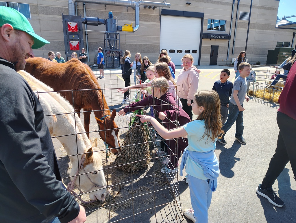 FFA Petting Zoo