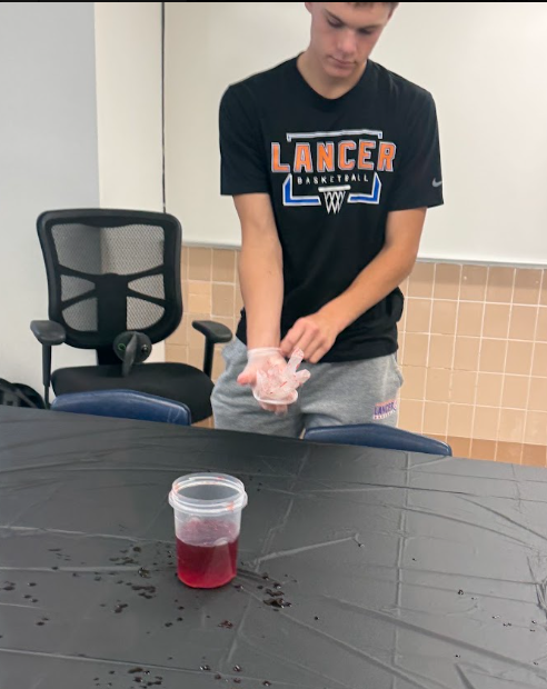 Glove Activity