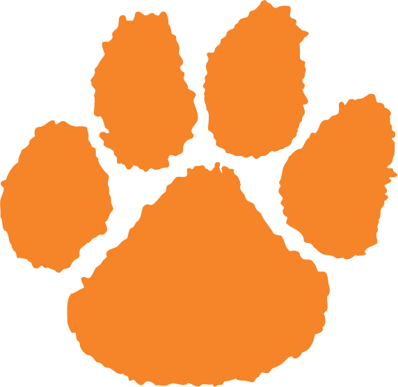 tiger paw