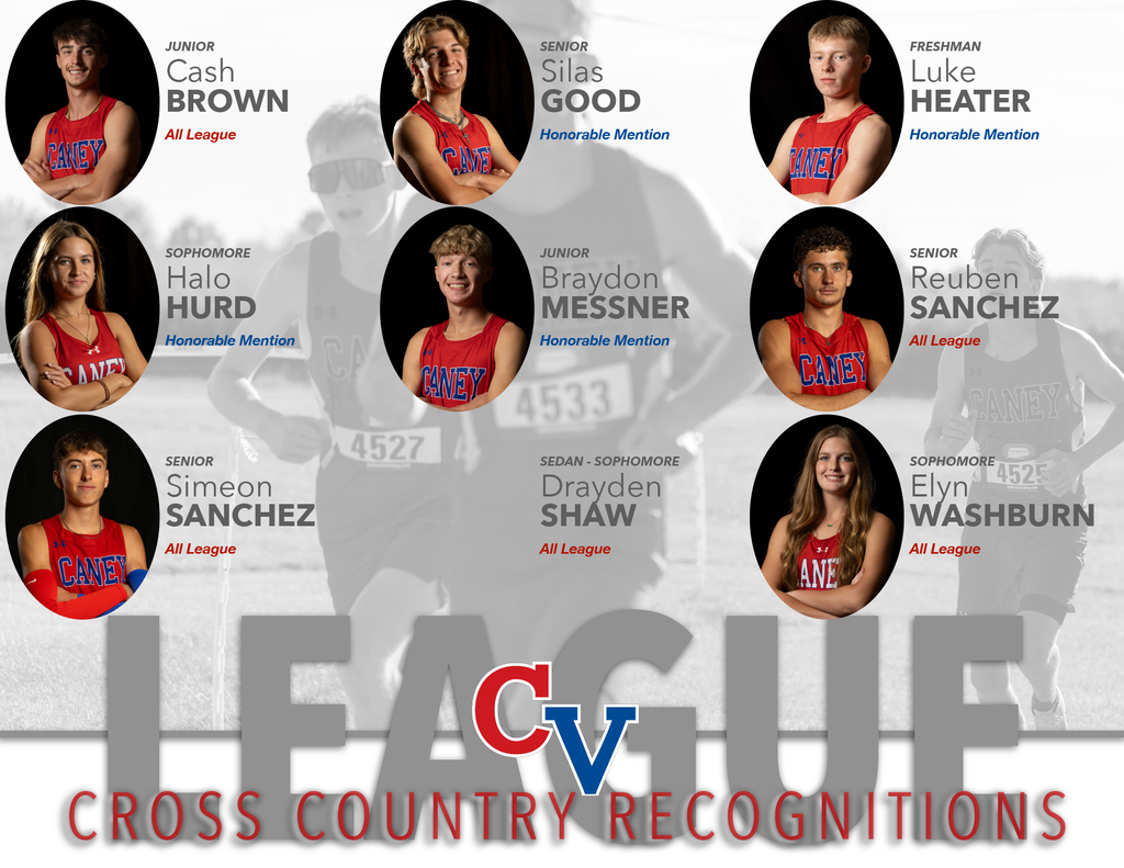 Cross Country League Honors