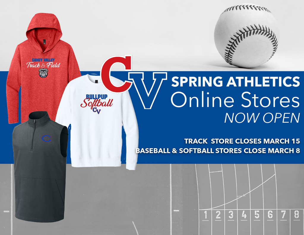 Spring Online Stores