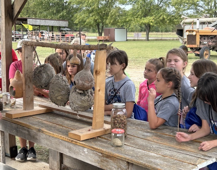 students learning about Kansas insects