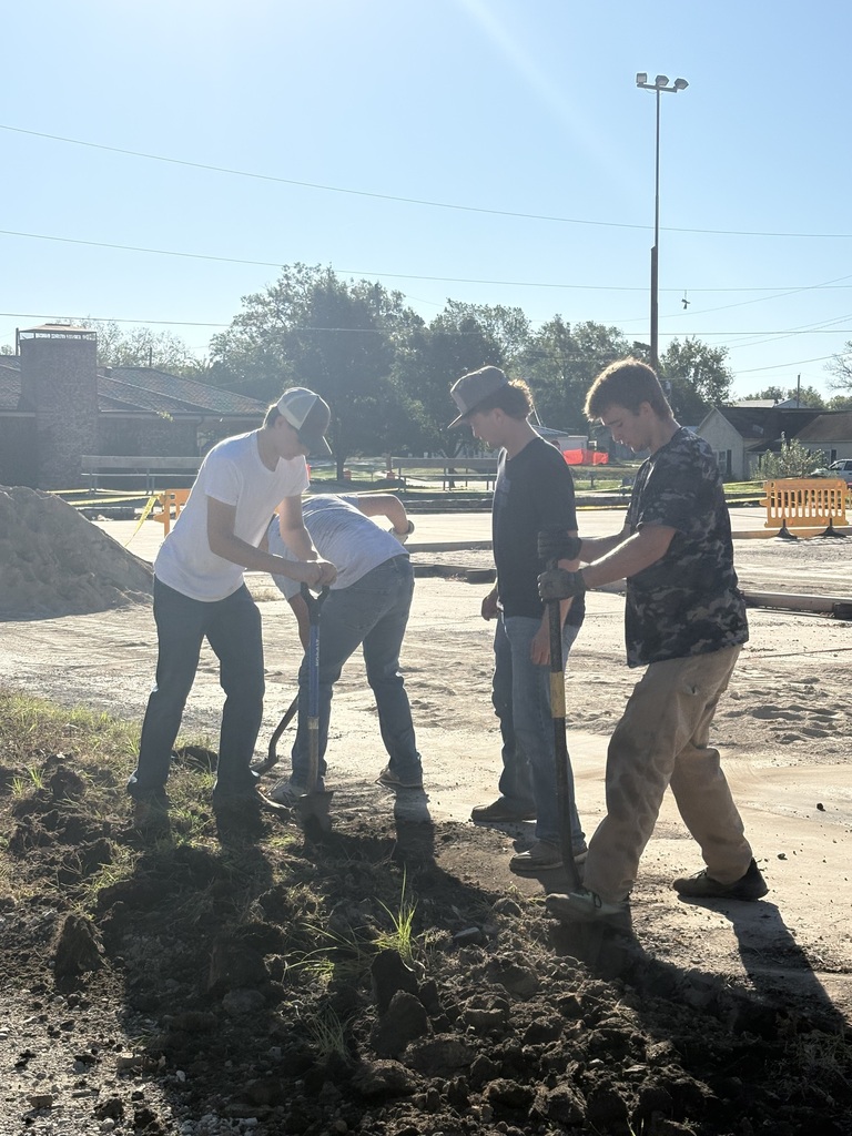 Seniors working on the Courts