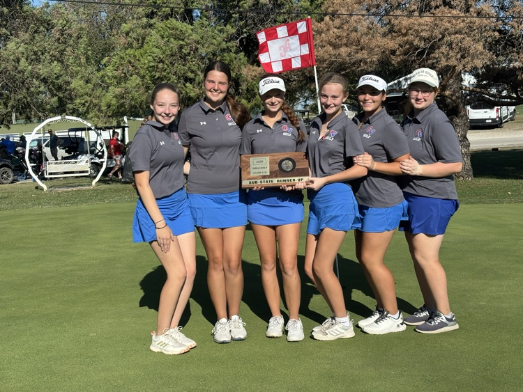 sub-state runner-up