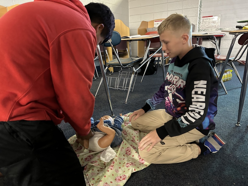 Safe Sitter training