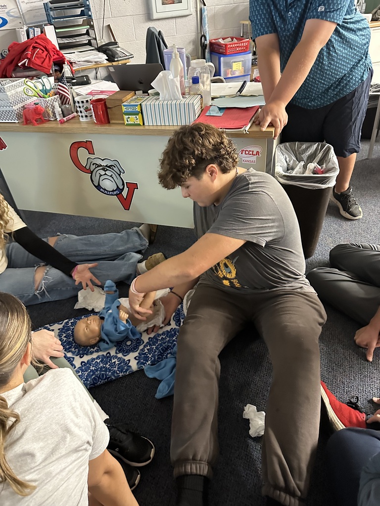Safe Sitter training