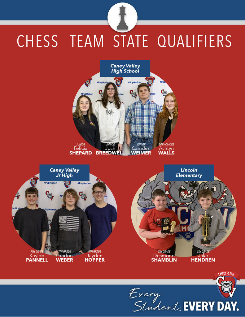 Chess Team State