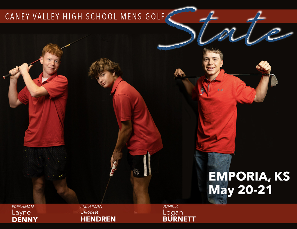 Boys State Golf