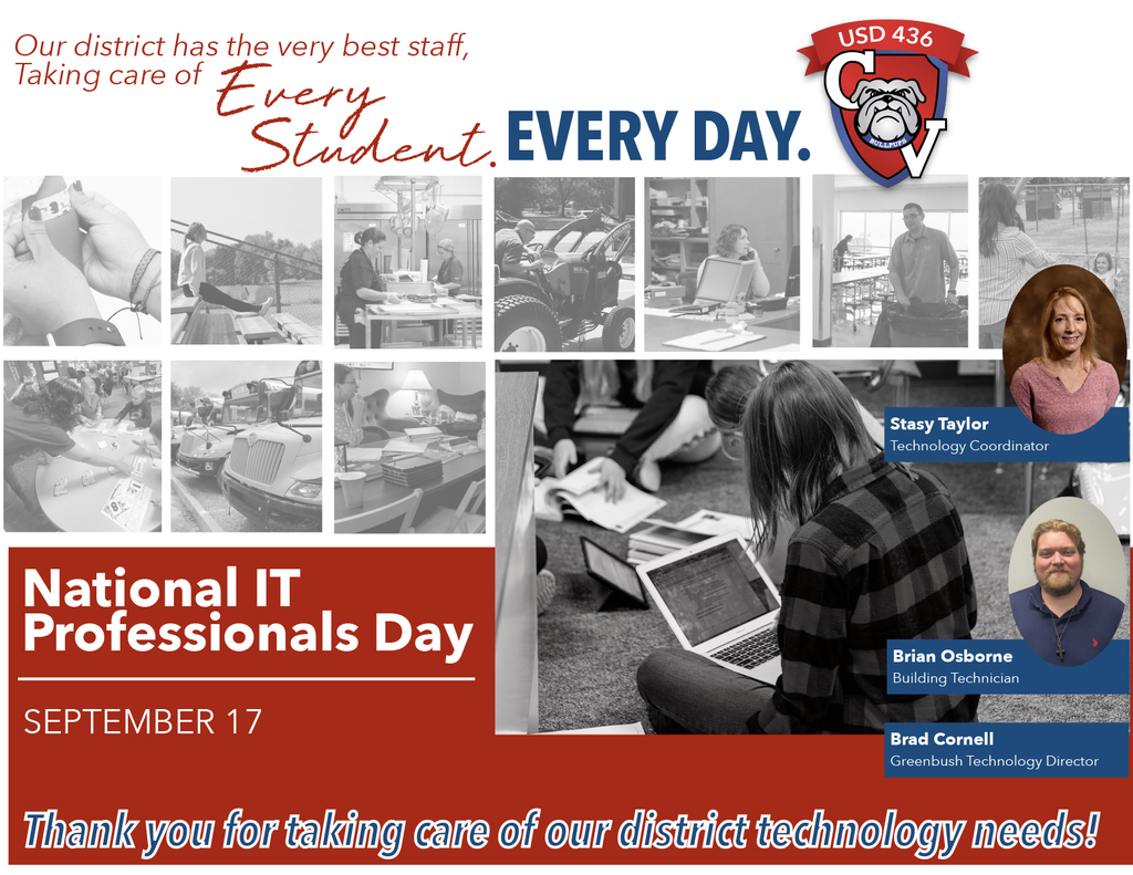 IT Professionals Day