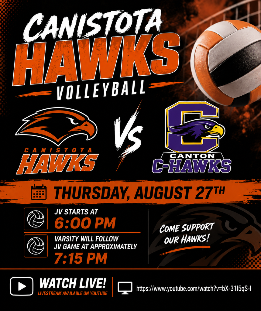 Volleyball poster