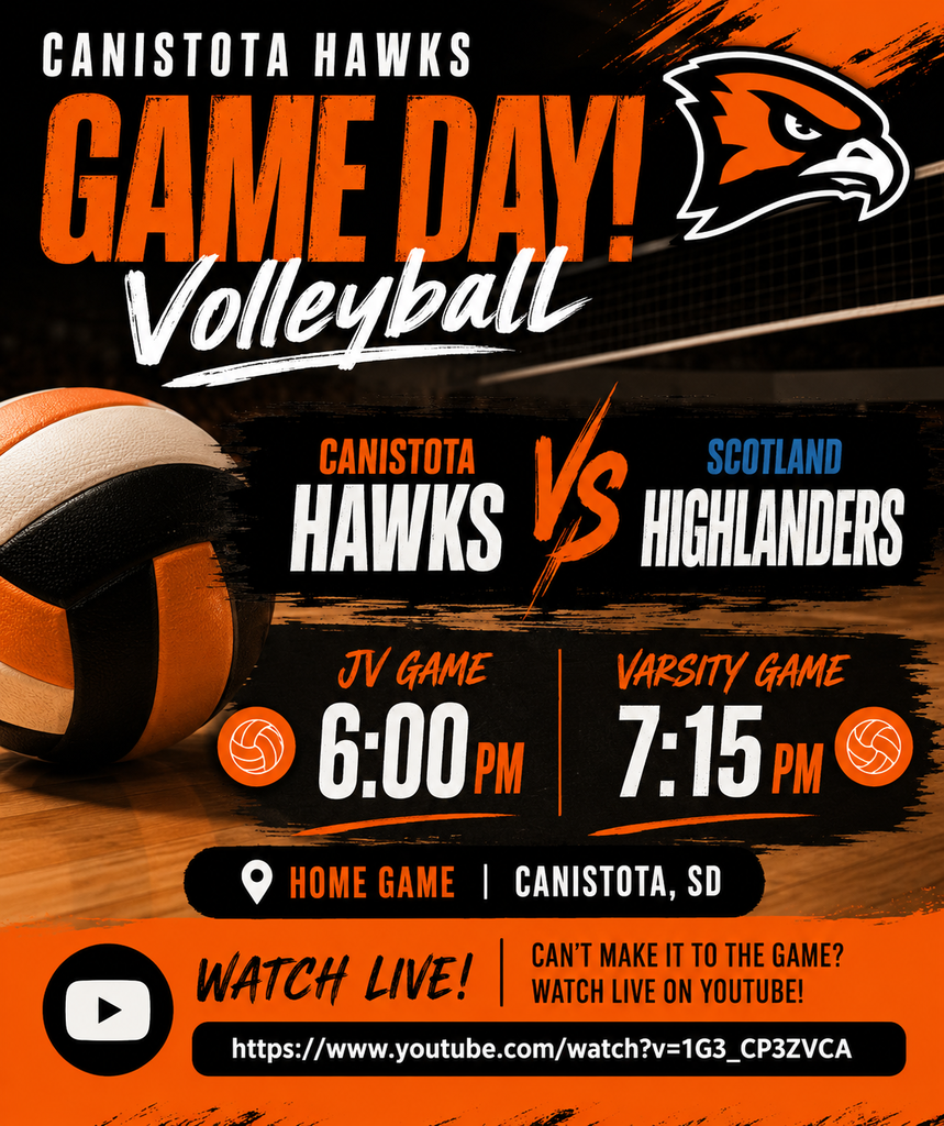 Volleyball poster