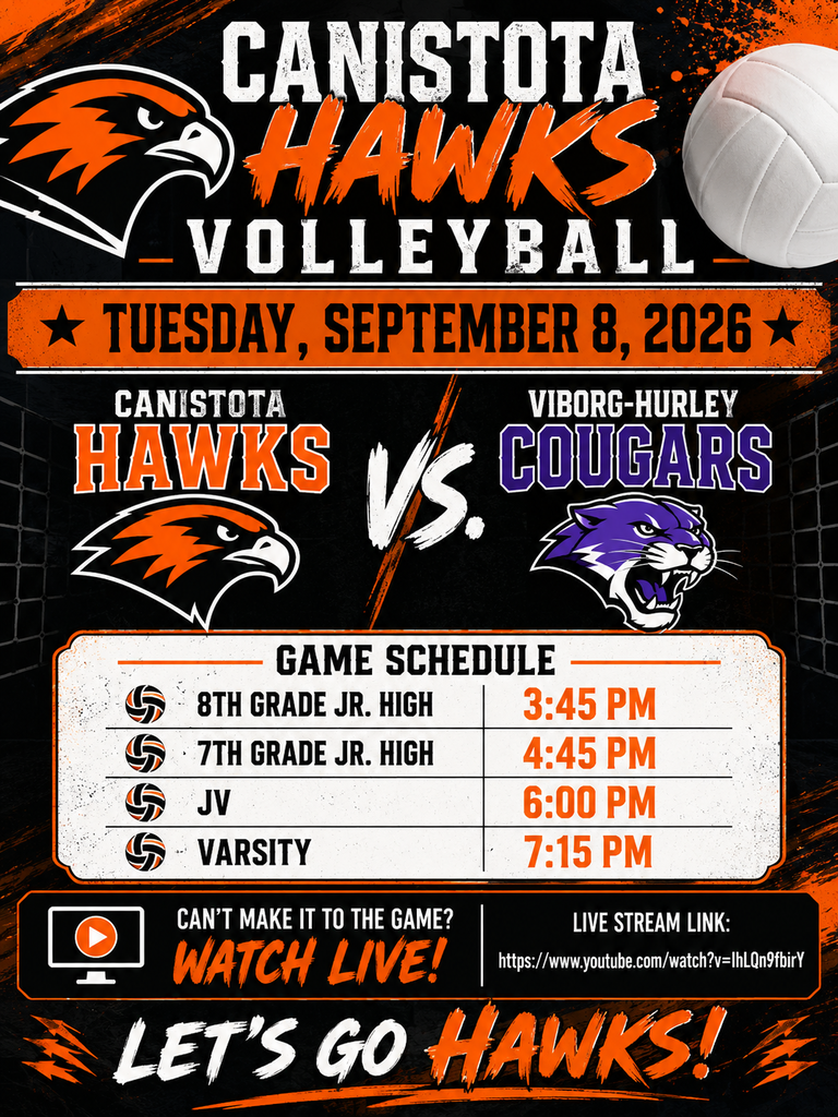 Volleyball poster