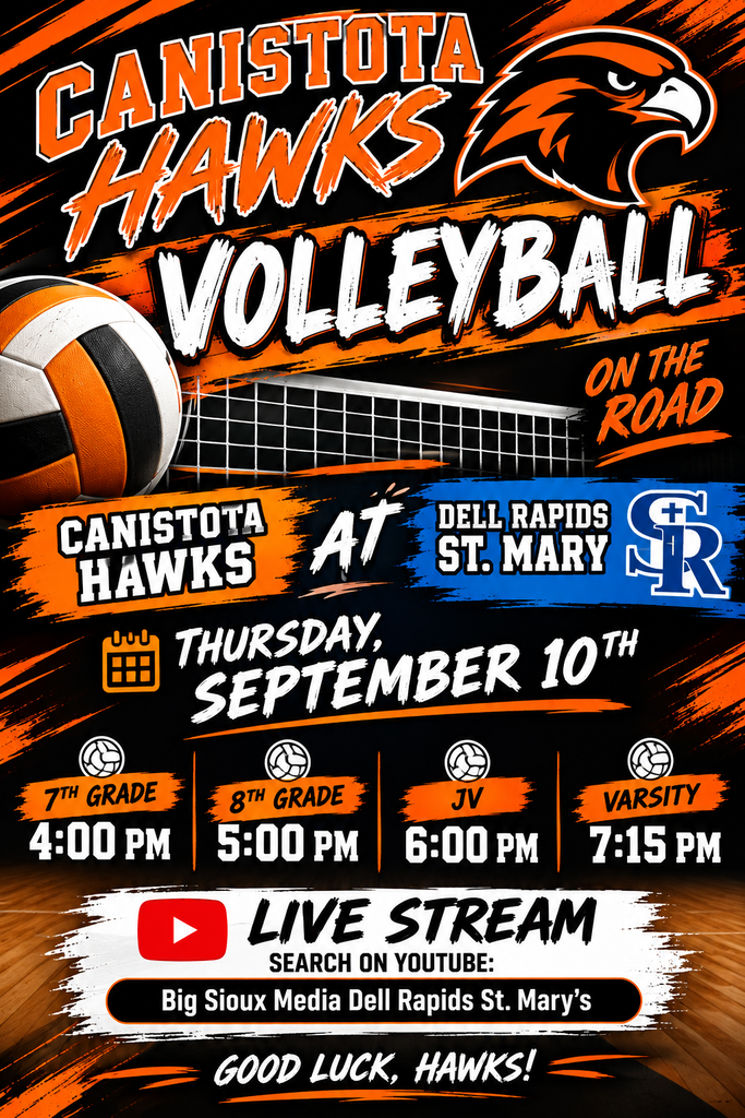 Volleyball poster
