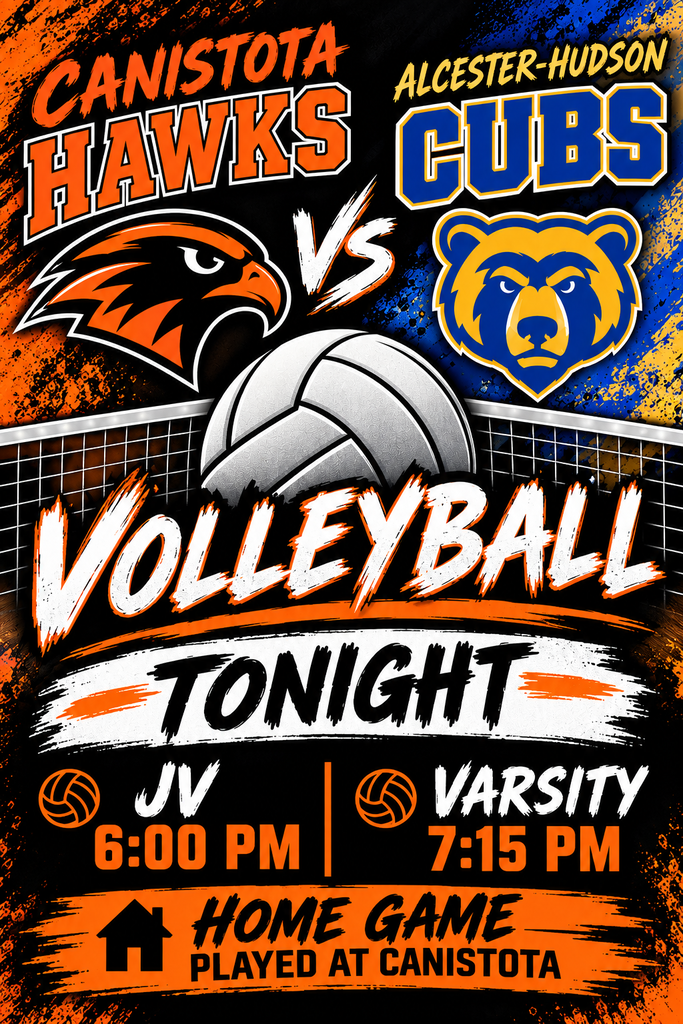 Volleyball poster