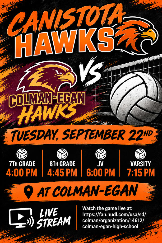 Volleyball poster