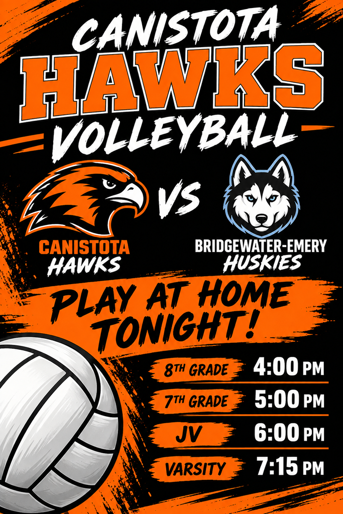 volleyball Poster