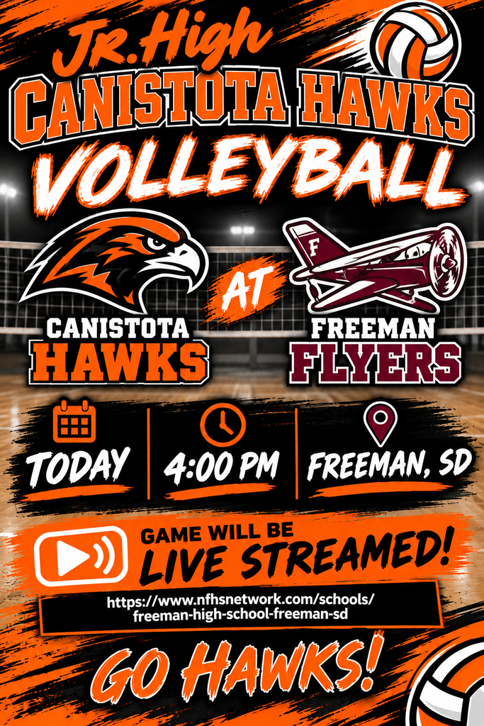 Volleyball poster