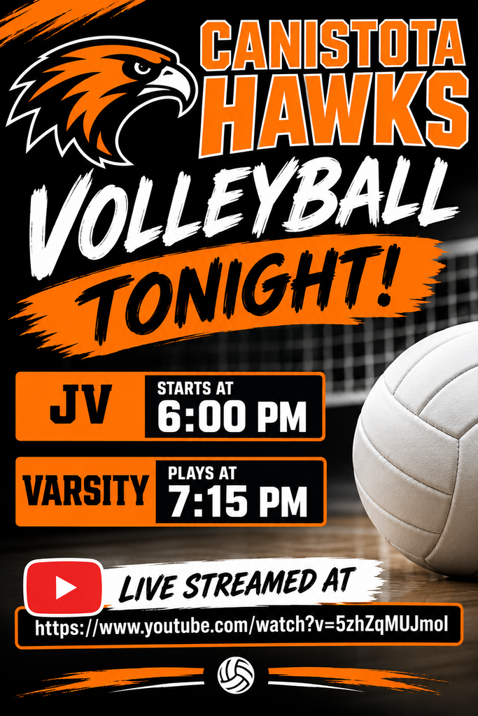 Volleyball poster