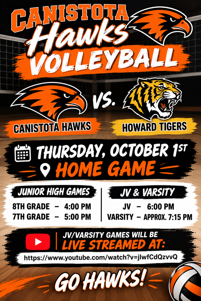 Volleyball poster