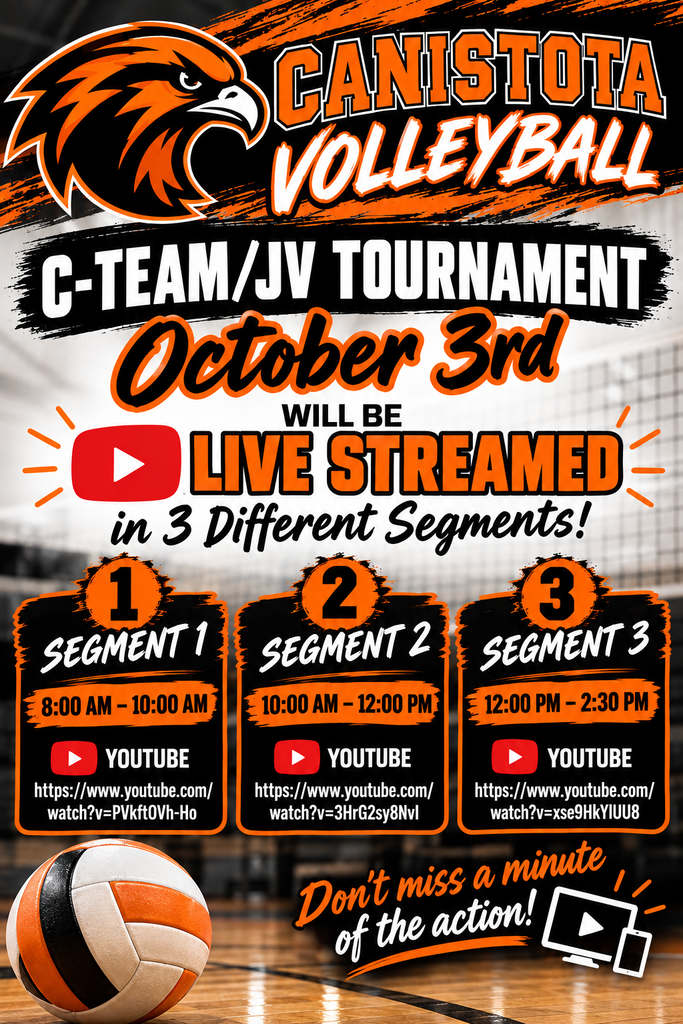 volleyball poster 