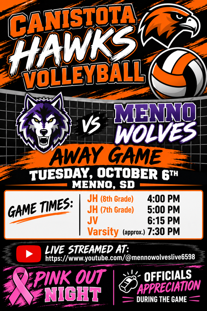 Volleyball poster