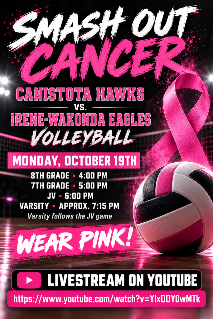 Volleyball poster