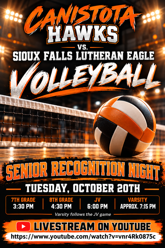 Volleyball poster