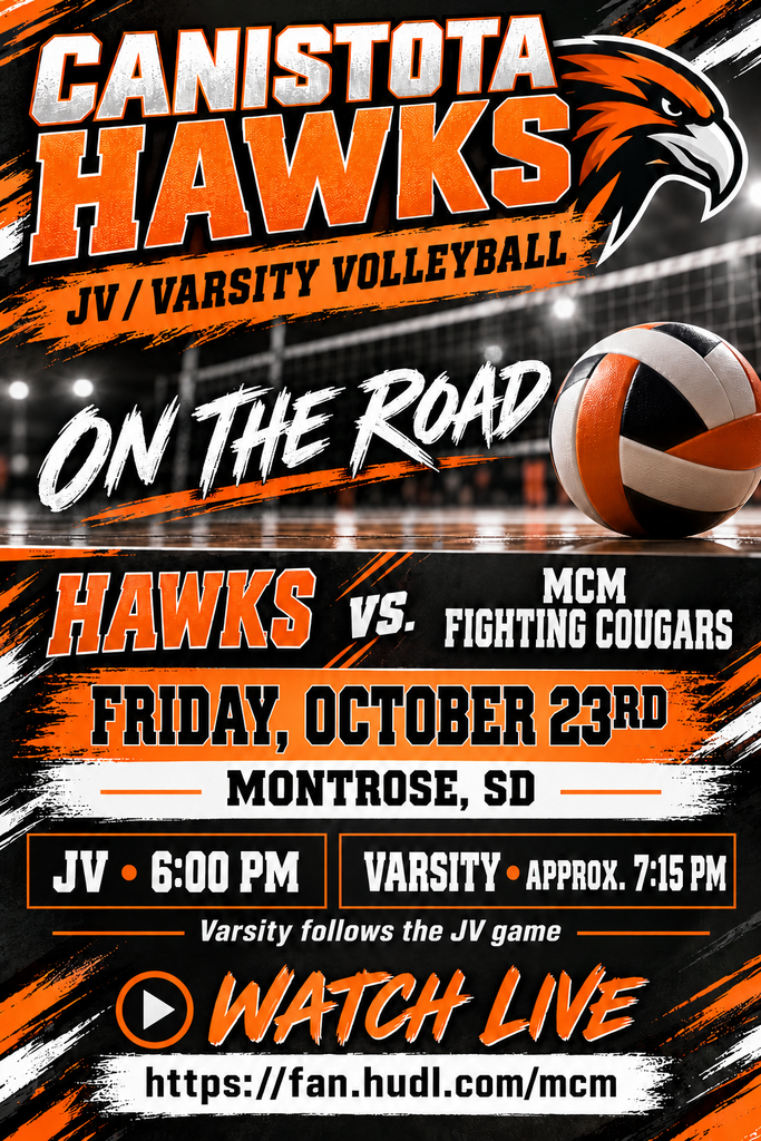 Volleyball poster