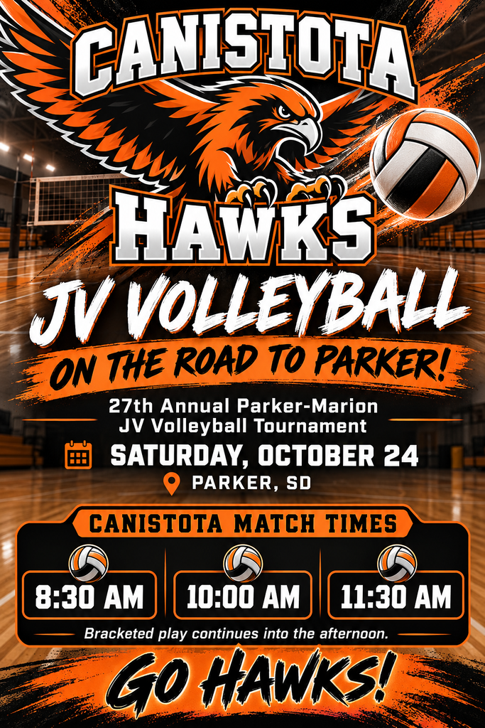 Volleyball poster