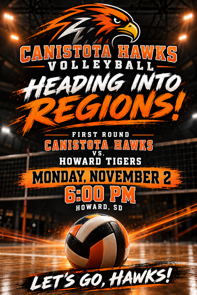 Volleyball poster