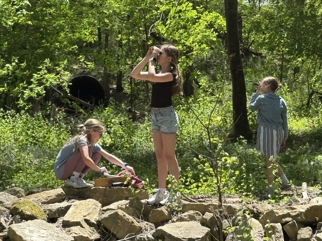 students exploring in nature