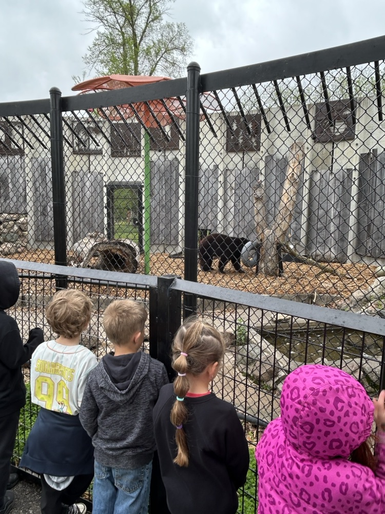 students at the zoo 