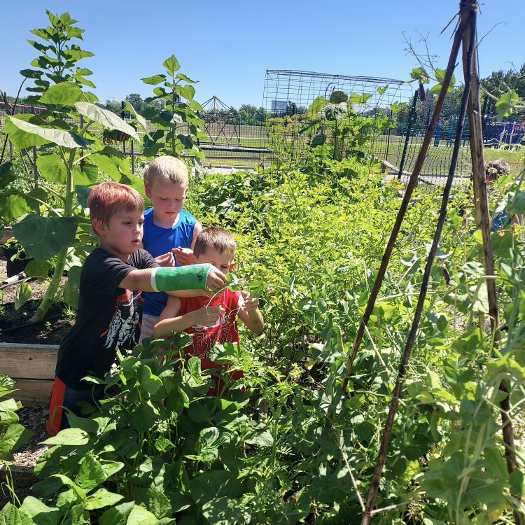 cannon kids in garden