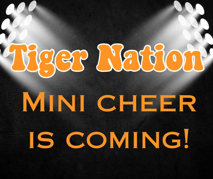 mini cheer