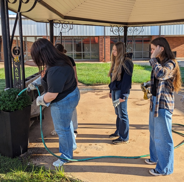 New courtyard flower pots