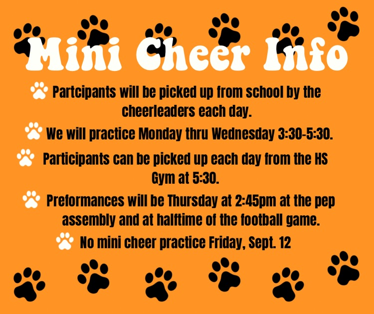 mini cheer info