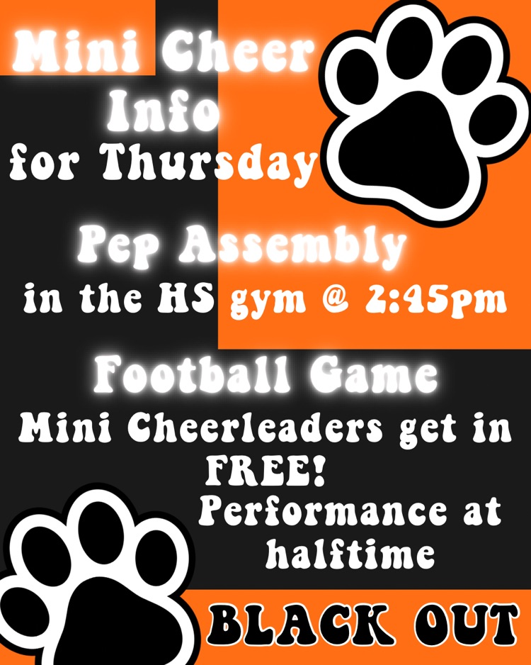 mini cheer info