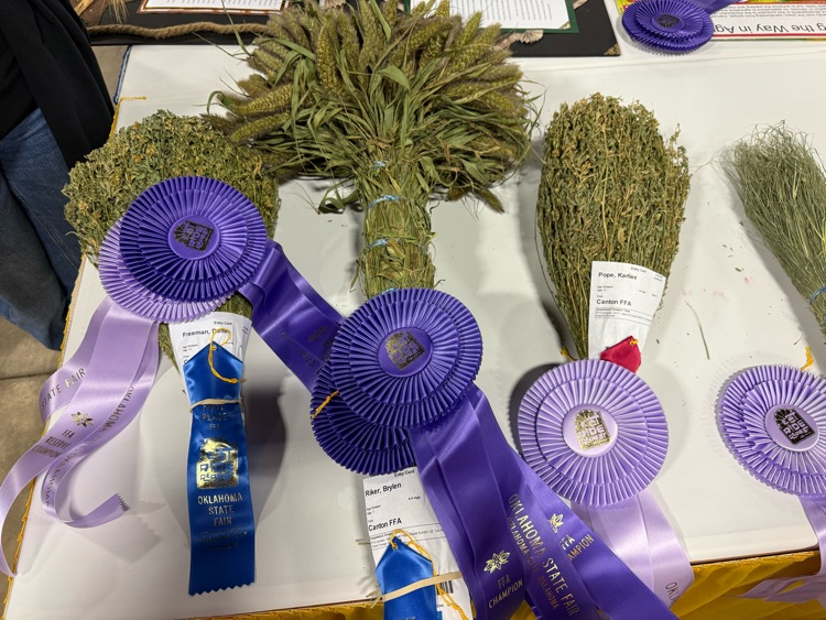 2025 Grand Champion Crop Sweepstakes Winners