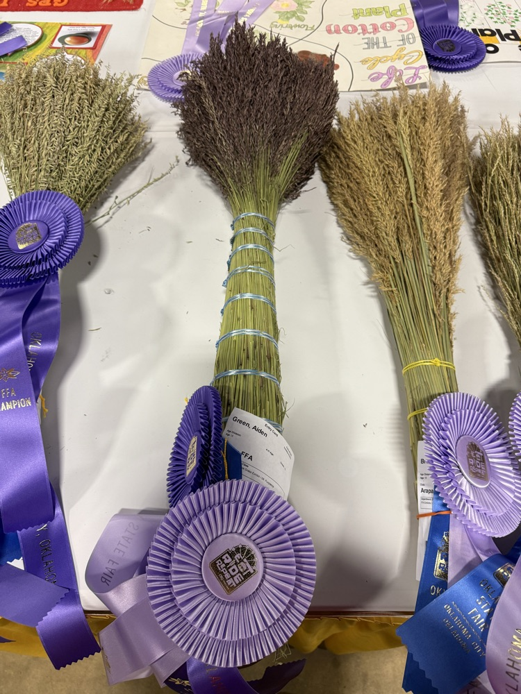 2025 Grand Champion Crop Sweepstakes Winners