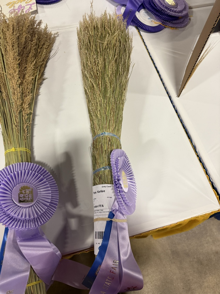 2025 Grand Champion Crop Sweepstakes Winners