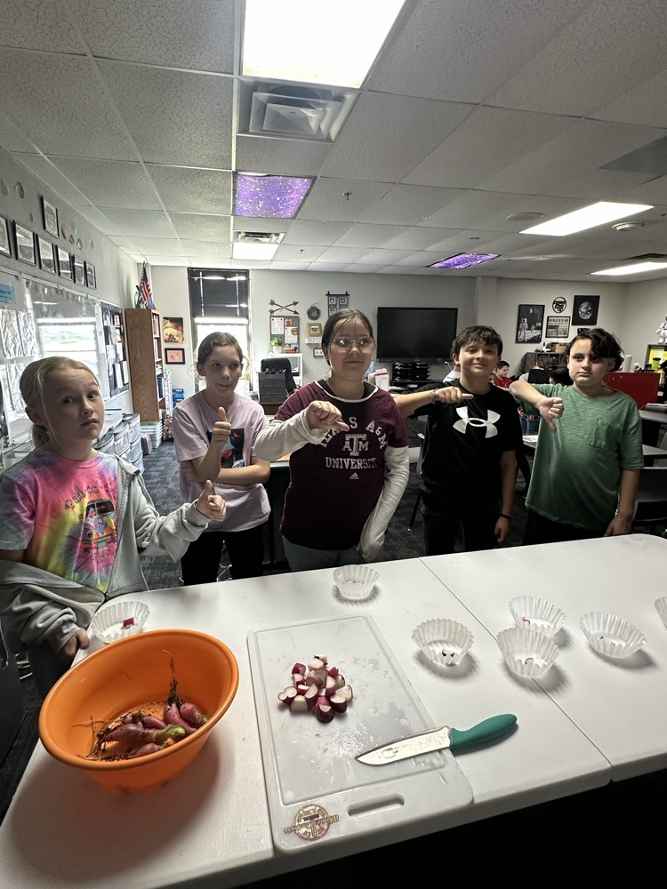 radish tasting