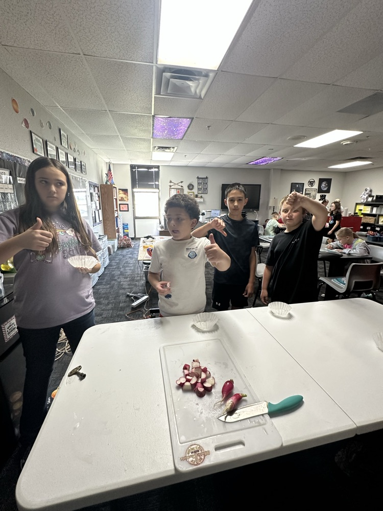 radish tasting